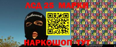 спайс Тара