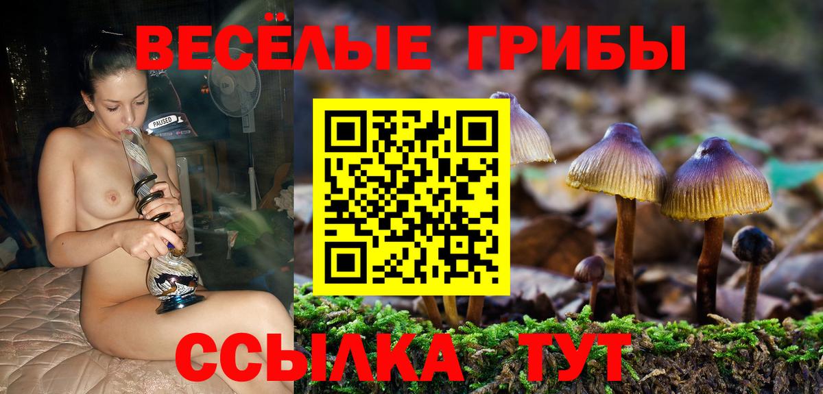 Нижневартовск  Псилоцибиновые грибы Magic Shrooms  Вход с VPN 
